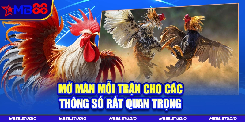 Đá gà C1 MB88 với thông số quan trọng khi mở màn trận đấu