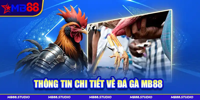 Thông tin chi tiết về đá gà MB88